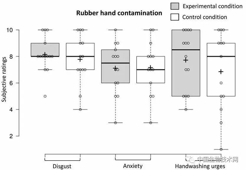 欺骗大脑假手实验完整版沉浸式,欺骗大脑的假手实验国外