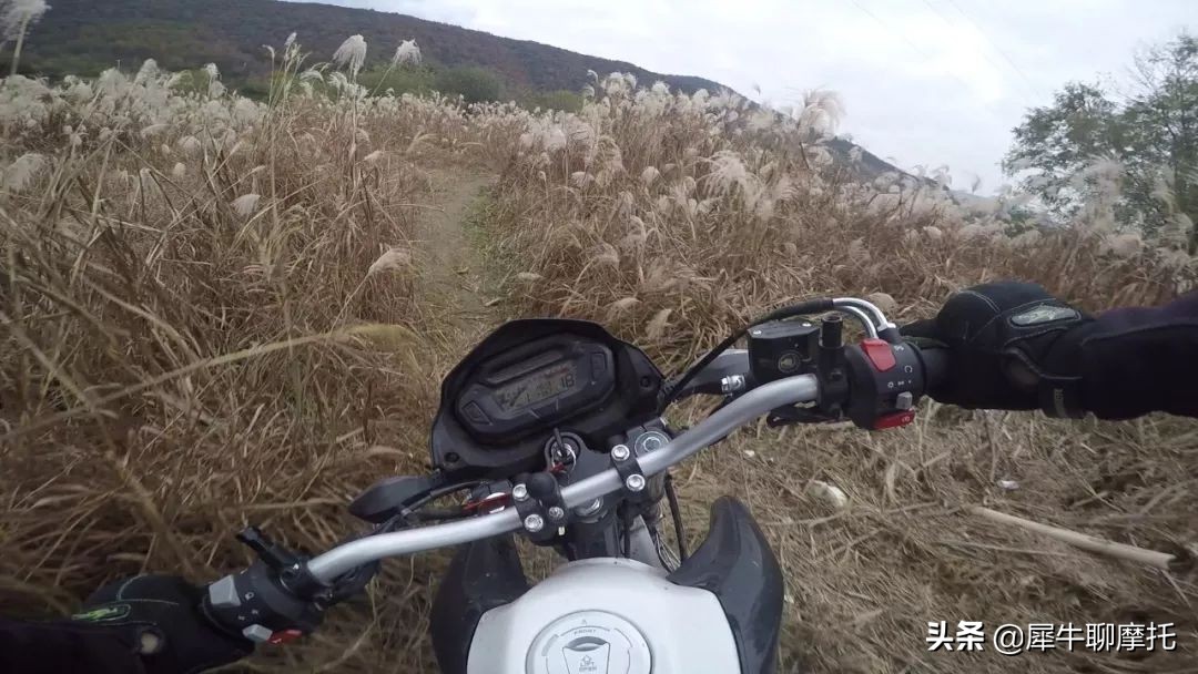 17款nk150极速,1万左右的nk150