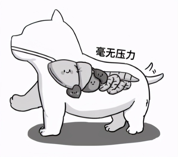 胡适怎么治疗痔疮,什么是痔疮