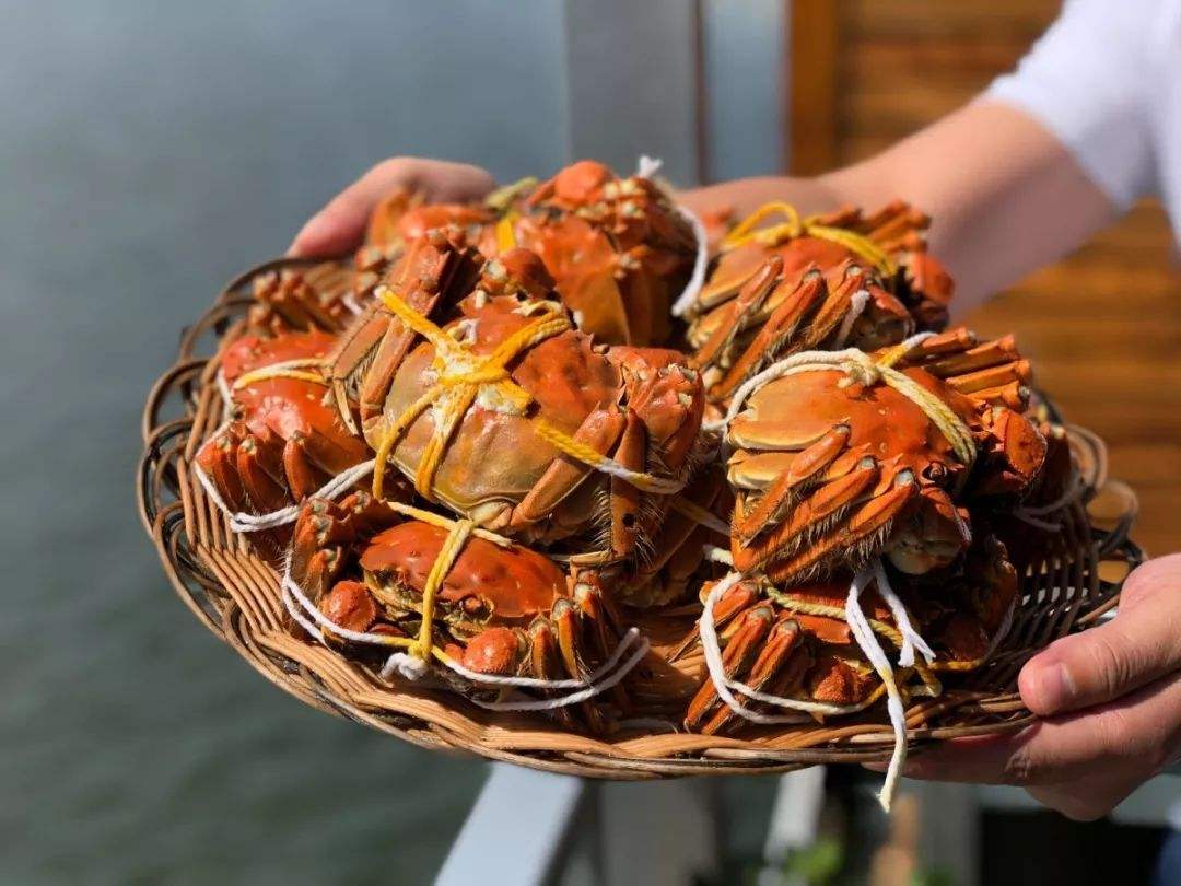 螃蟹怎么吃寒性不大,螃蟹是寒性食物需要注意胃吗