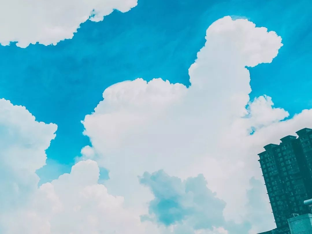 2019网络流行语大全及解释,2015年十大网络流行语图集解释