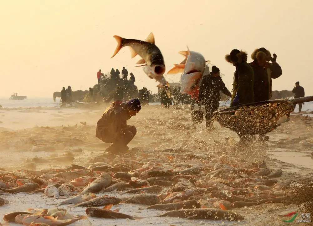 东北全鱼宴 (东北最正宗的全鱼宴)