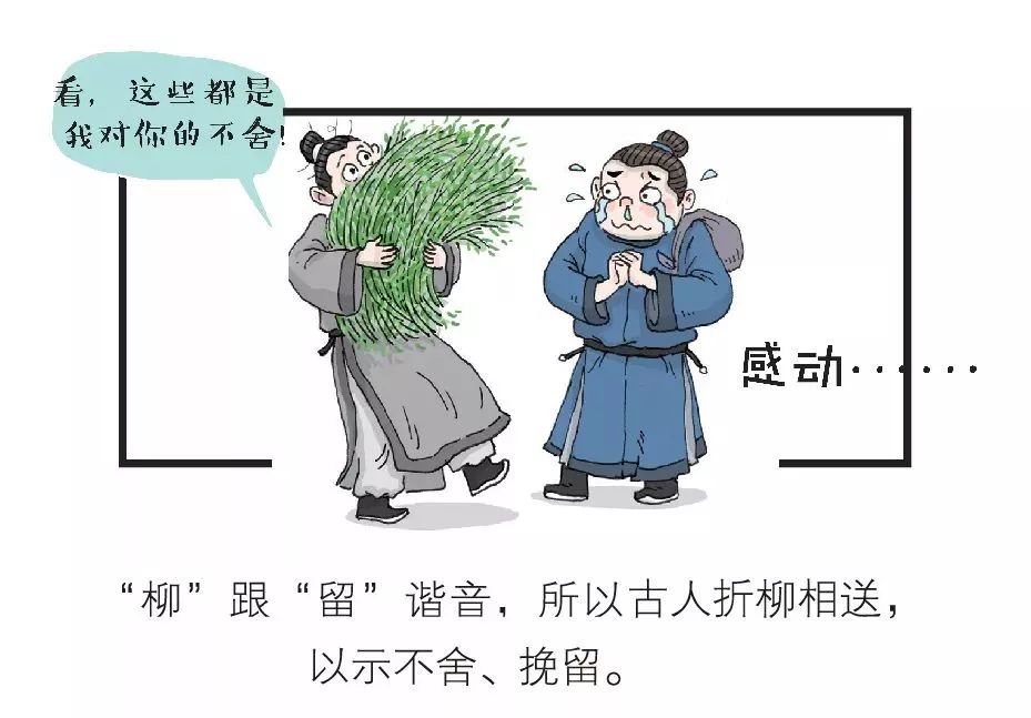 董卿在主持人大赛上评王帆,央视主持人大赛王帆董卿