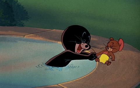 礼仪常识握手,握手礼仪有什么要求和禁忌