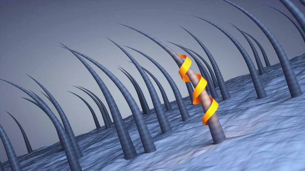 白头发长期吃什么头发可以变黑,头顶白发吃什么可以改善白头发