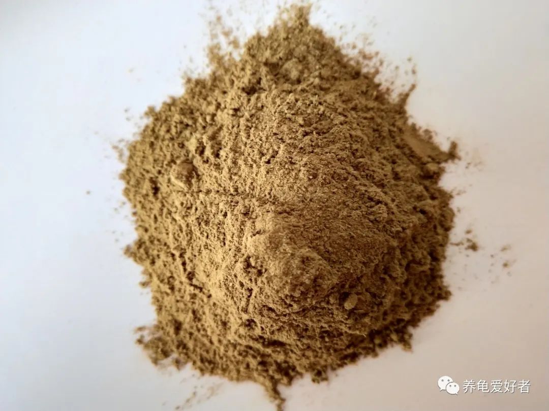 龟病用草药治疗方法,治龟病最佳药物