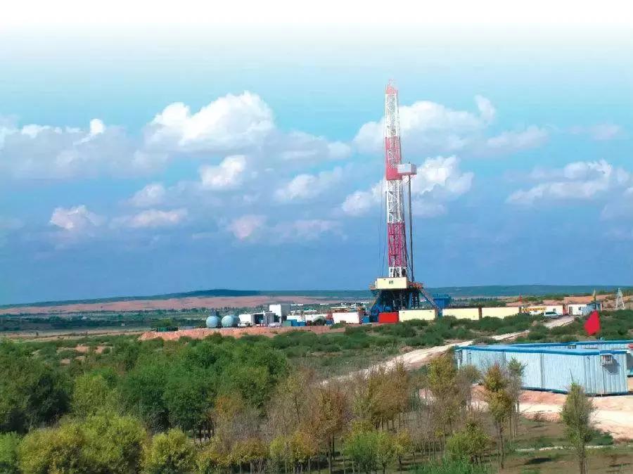 牛原本个人资料,内蒙古牛能有多大