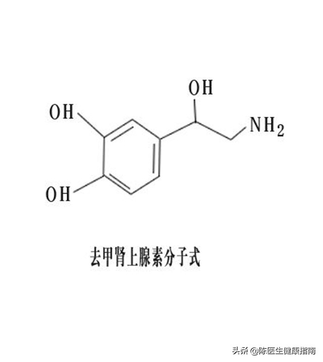 得了糖尿病后胃口越来越差怎么办,糖尿病胰岛功能会越来越差么