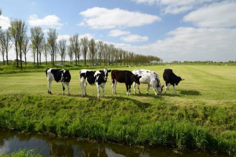 挑选奶粉看哪几个标准,怎么选择原装进口奶粉