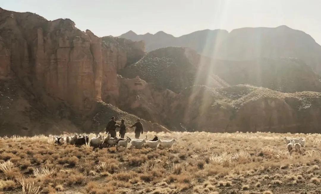 张掖七彩丹霞拍过哪个电影,张掖七彩丹霞拍过的电影