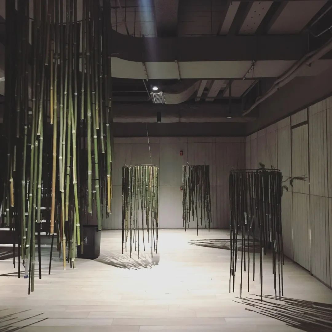 一不小心开了间花店，还和各种大牌合作，真的香