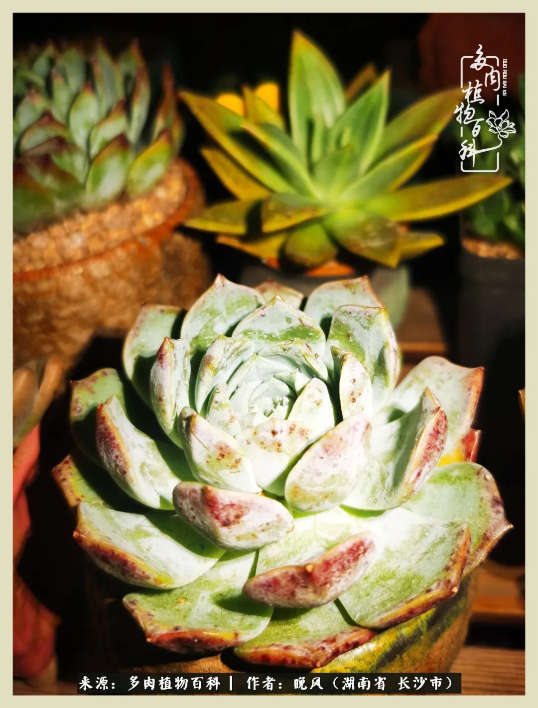 摇身一变成了奶爸,摇身一变成为打工人