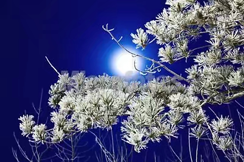 学英语有用吗视频,学英语最好用的app