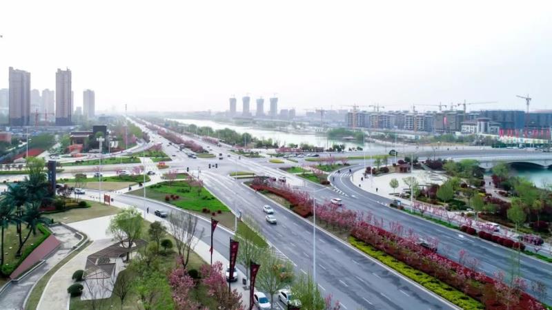 濮大樱花谢了吗,濮大樱花位置