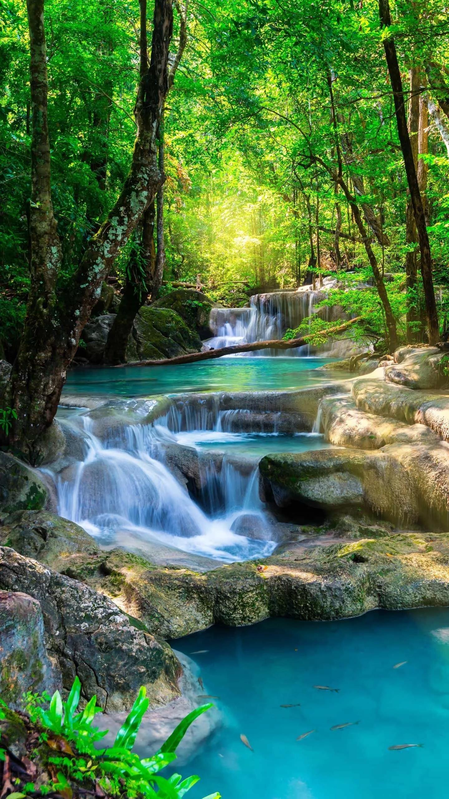 如何让香蕉快速成熟,如何让痤疮快速成熟