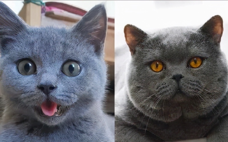 脸部发腮怎么改善,改善发腮的动作真的有效吗