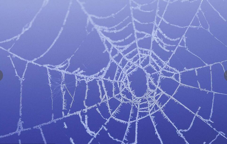 钓语术和揣摩术区别,钓语术