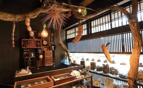 杂货店怎么做才赚钱呢,开一个精品杂货店怎么样