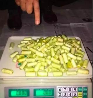 远离“有毒”的“爱情”!听张文宏教你理性去爱