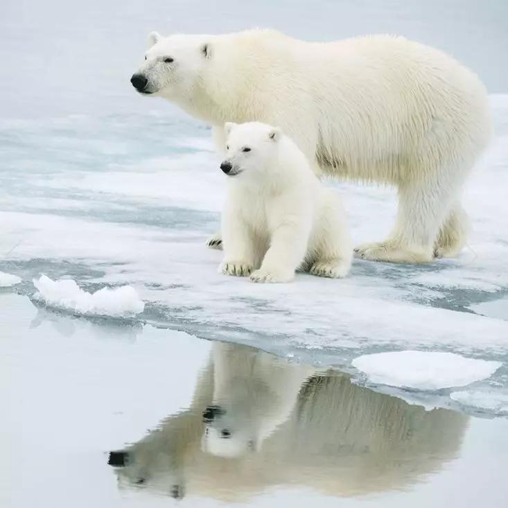 明星同款爱心气质高级轻奢耳饰,明星同款耳饰最好看的