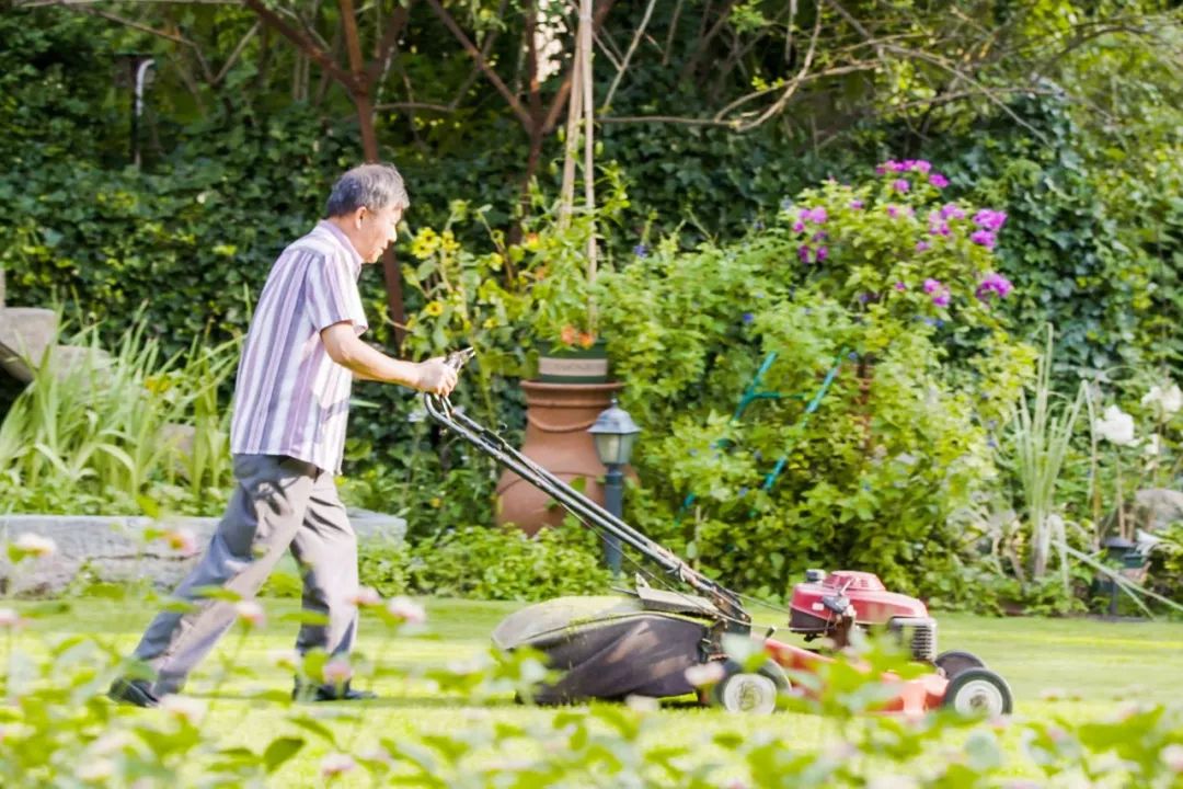一个安徽爷爷，花1万块种出5000㎡私家花园，被评为中国最美