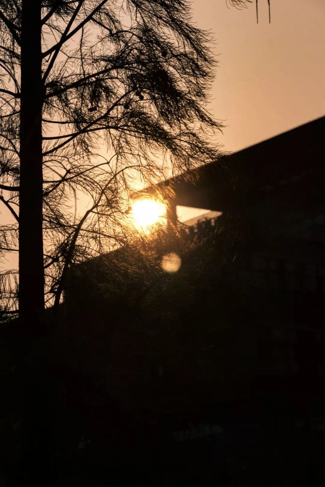 深圳十个小众打卡地,在深圳这些地方既小众又值得打卡