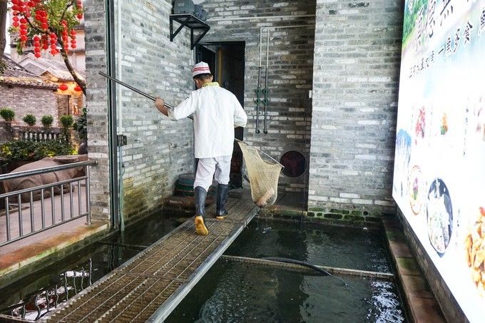 广东顺德美食旅游攻略学生,顺德自驾这份美食攻略要收好