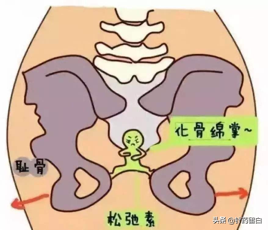 未婚女性盆底肌松弛漏尿怎么治疗,流产会导致盆底肌松弛漏尿吗
