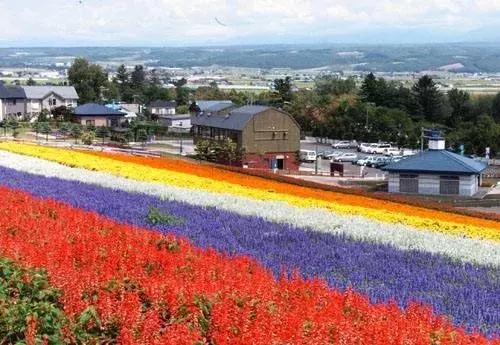 日本高科技农业有哪些,日本农业值得研究的点