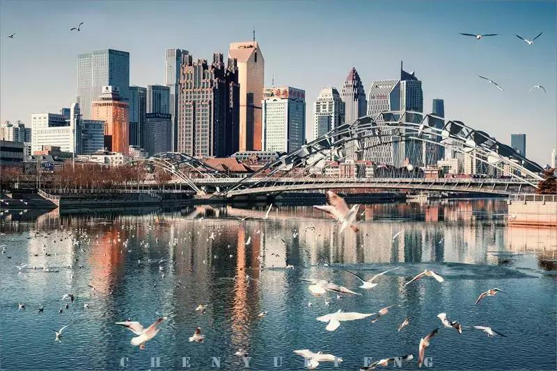 外交部全球推介天津,天津外交部全球推介活动