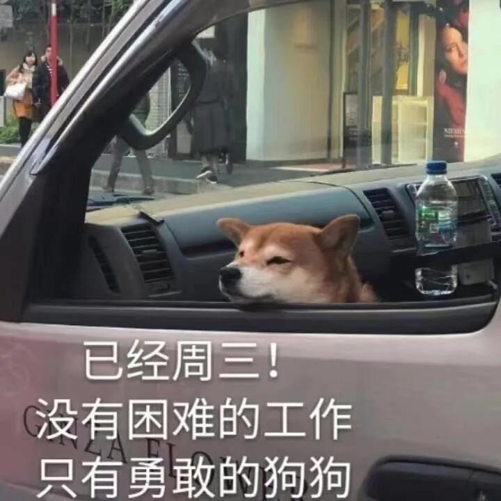 打工这辈子是不会打工的表情包,打工是不可能打工的表情包原图