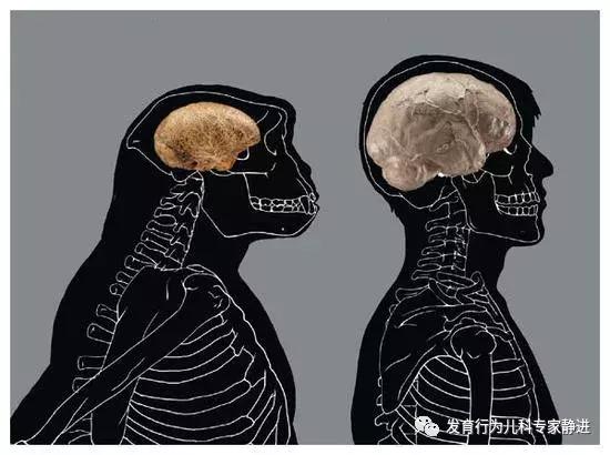 静进教授权威吗,孩子七岁大脑还能聪明吗