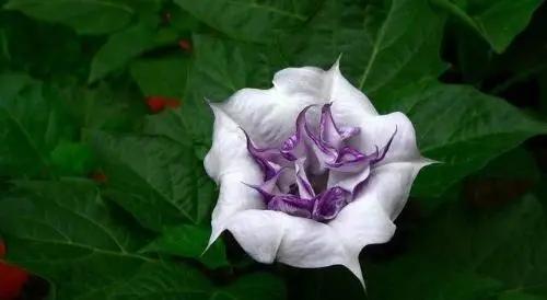 可以治愈心灵的绘画,怎样通过绘画疗愈自己