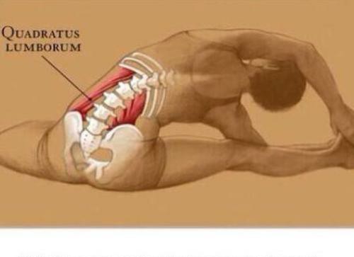 右侧骨盆前倾的最有效的矫正方法,下交叉综合症骨盆前倾矫正