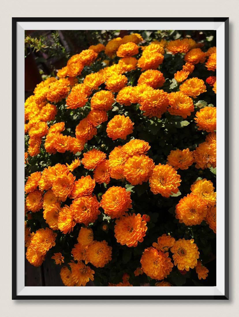 觅友故事|上帝赐我一个儿子，赠我一颗肿瘤