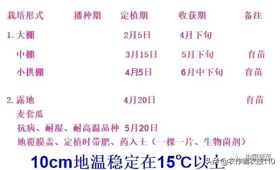 西瓜栽培技术有哪些,西瓜栽培技术全面的文字解释