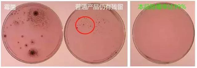 冰箱洗衣机胶圈除霉小妙招,滚筒洗衣机密封条发霉怎么解决