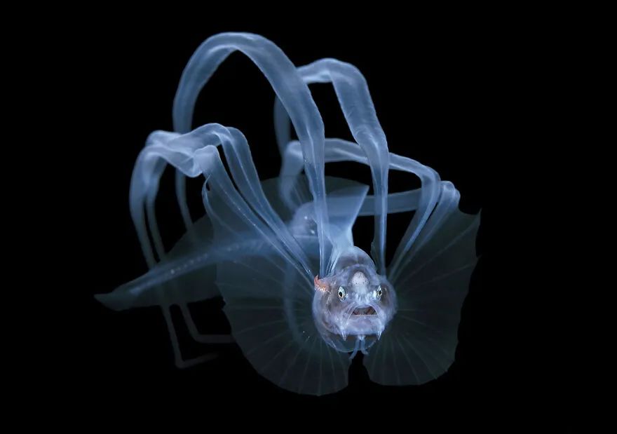 16幅海洋摄影佳作,每一张都饱含深意,第一幅就让人陷入沉思