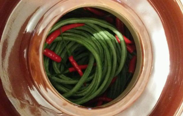 家里吃不完的豆角晒干,家里种的豆角吃不完怎么办