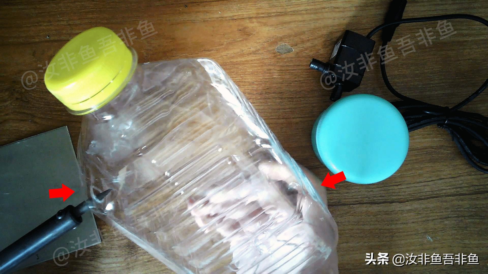 鱼缸自制省钱过滤器制作教程,小型鱼缸过滤器diy