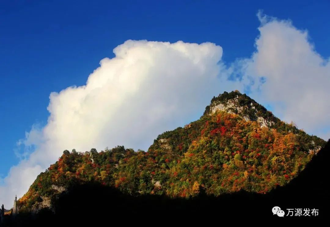 看万山红遍层林,看漫山红遍层林尽染国画