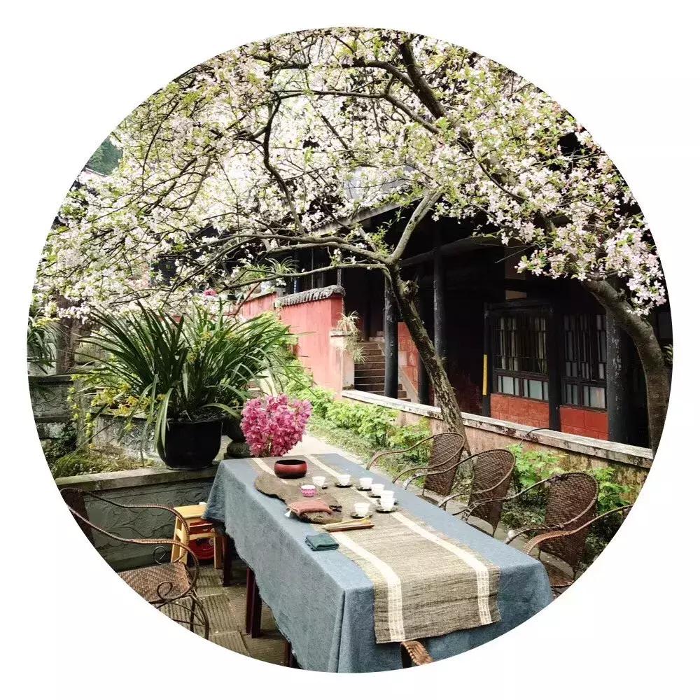 晓枝滴甘露味落寒泉中是什么意思,系辞朗读版