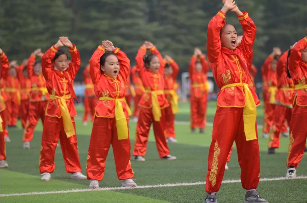 运动赛场展雄姿征文,运动盛会展风采