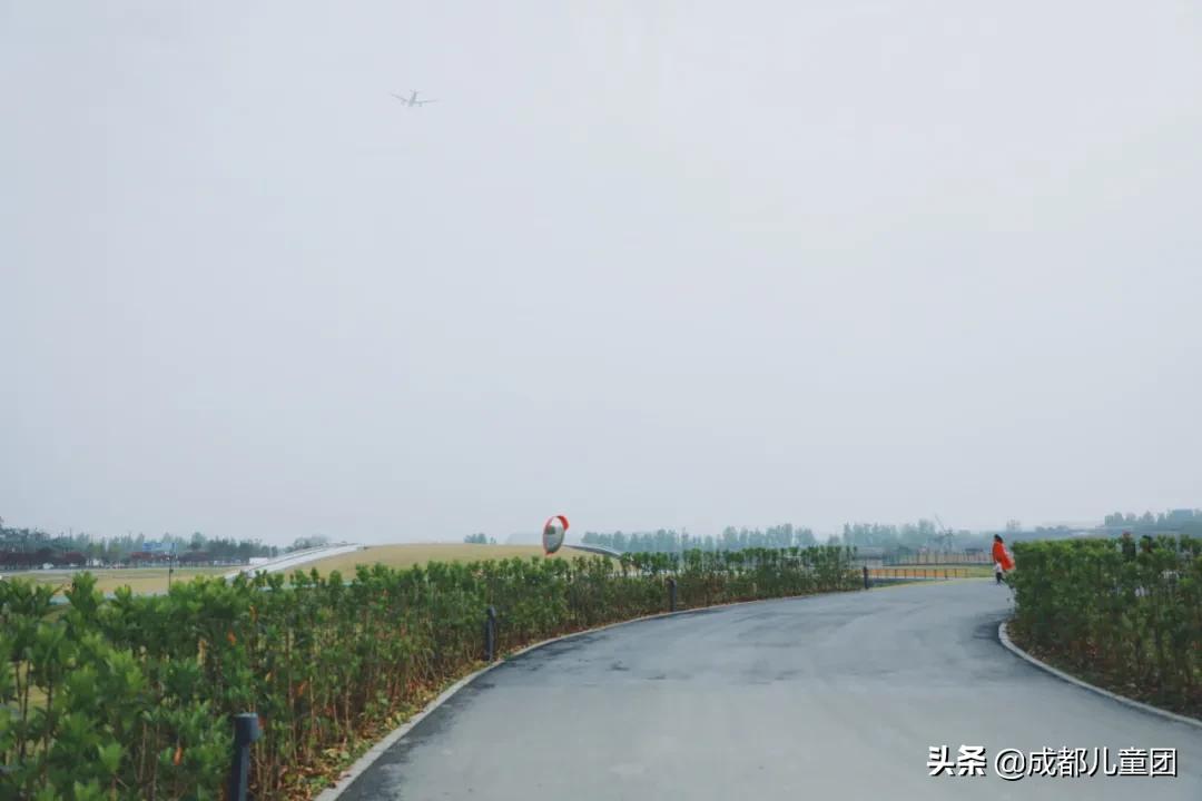 空港运动公园游玩攻略,空港体育公园是空港花田吗
