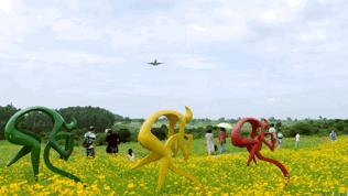 双流哪里可以赏花看飞机,双流附近赏花攻略路线