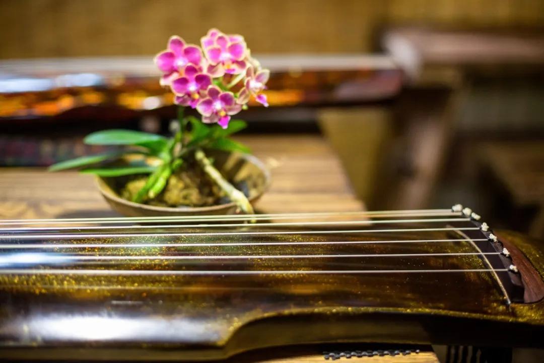 最经典最值得背的古文大全,最难背的十篇古文