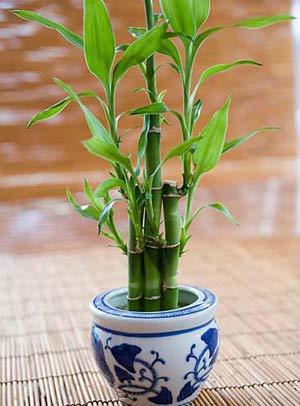 装修风水知识及禁忌表大全,装修风水禁忌大科普