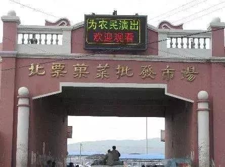 开封菜农自产自销蔬菜批发市场,中国蔬菜批发价格表