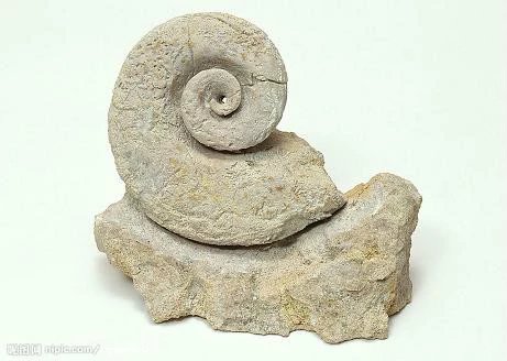 八大奇石造假手段,到底什么样的石头才算真正的奇石