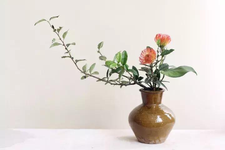 悦见花开花园,悦见花开